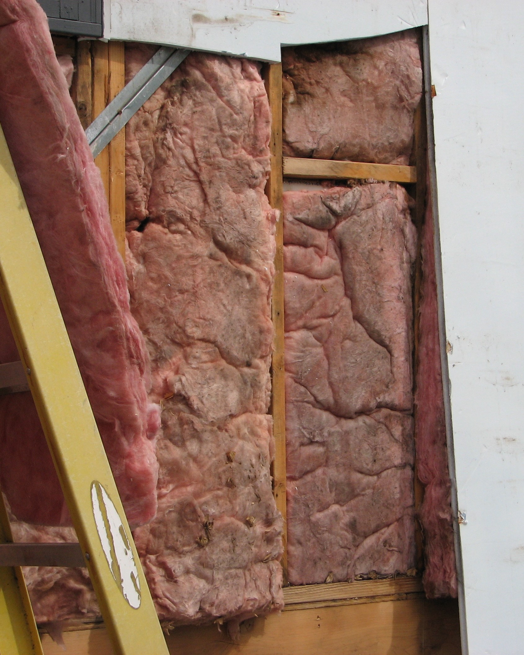 moldy loose batt pink insulation gib timberframe building v5